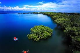 Tanguar Haor